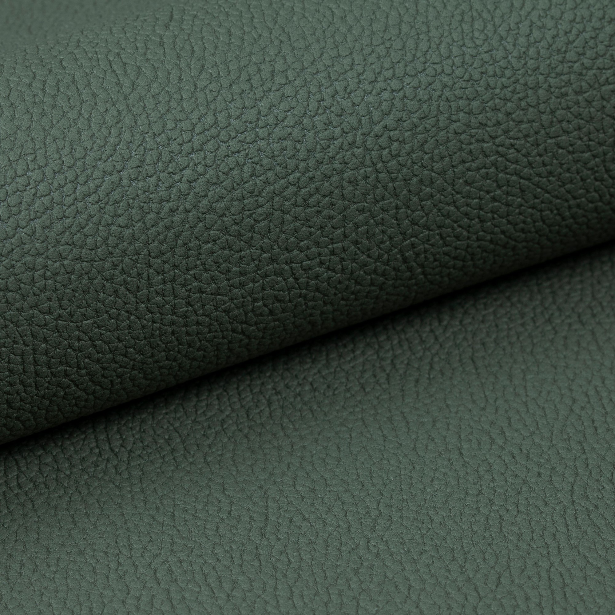 Olifante 9